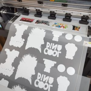 56 x 100 cm DTF Sheet